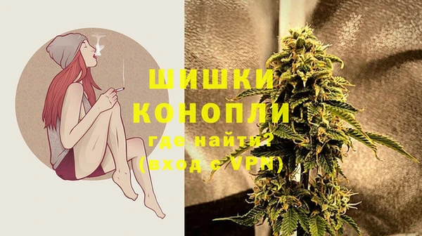 хмурый Богородицк